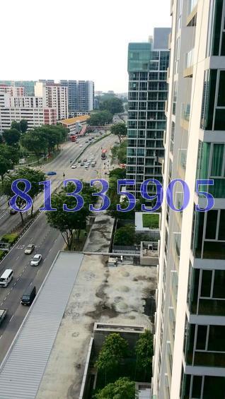 Sennett Residence (D13), Condominium #126135912